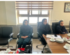 برگزاری کمیته اجرایی نظام ارجاع و تعالی بالینی در سالن جلسات معاونت درمان