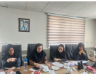 برگزاری کمیته ایمنی و بهبود کیفیت خدمات در معاونت درمان درمان