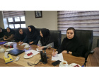 جلسه مشترک نمایندگان گروههای توانبخشی و بیمه های تکمیلی شهرستان شاهرود