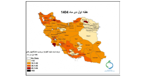 'گزاره برگ بیماری های حاد تنفسی در هفته اول دی ماه ۱۴۰۴