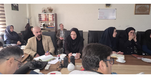 برگزاری جلسه کارگروه کارآمد دانشگاه در سالن جلسات معاونت درمان