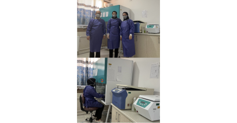 بازدید از آزمایشگاه مولکولی معاونت بهداشتی