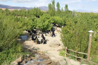 "اردوی پیش دانشگاهی" دانشجویان جدیدالورود دانشگاه علوم پزشکی شاهرود برگزار شد