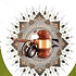 گروه آداب پزشکی