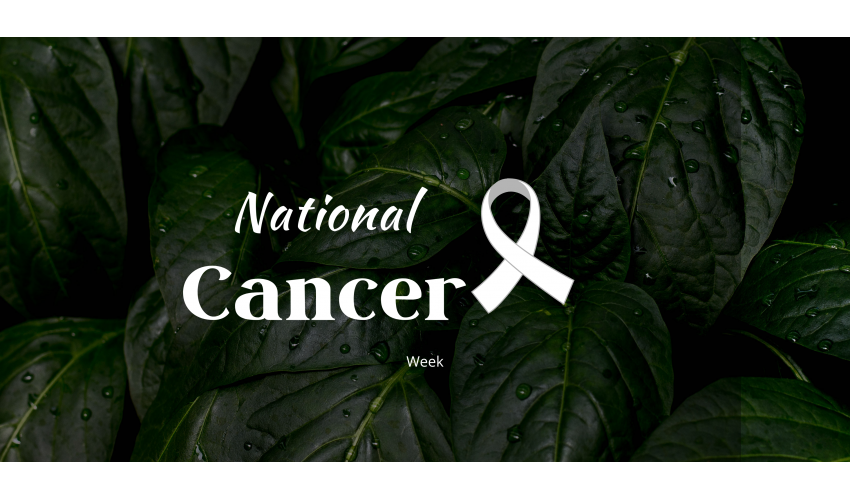Cancer Awareness Week: “No One is Alone” Campaign Launched