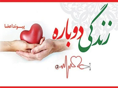 جوان شاهرودی نخستین فرشته نجات چهار، هموطن شد.