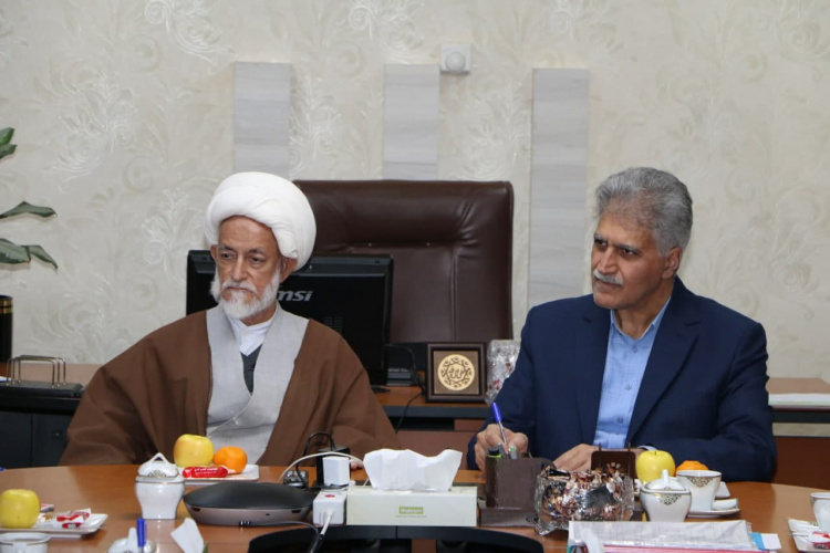 دیدار امام جمعه و مسئولین شهر بیارجمند با دکتر امامیان